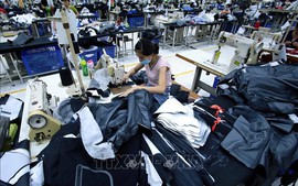 Viet Nam overtakes Bangladesh to become second largest apparel exporter